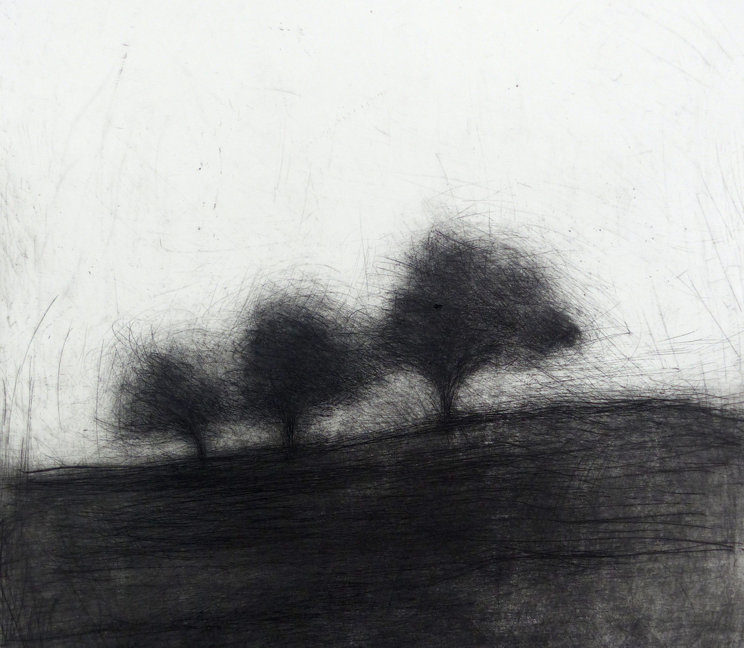 Pascale PARREIN. Errance. (Avril 2019)